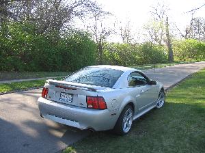 Mustang 2 008.jpg
